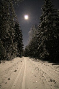 maaneskinnstur