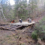 Dugnad_Kleiva_2014 (11)